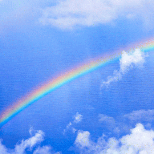 Beautiful Like a Rainbow